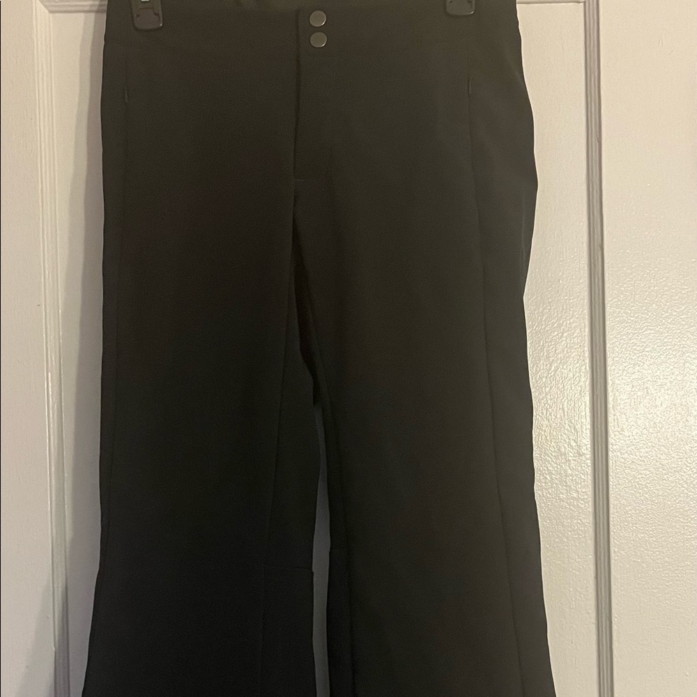 The North Face Ski Pants